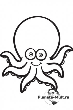 Octopus   (2015)
