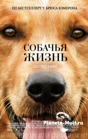 Собачья жизнь смотреть онлайн (2017)